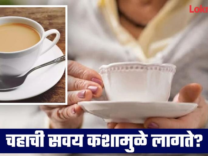What is the cause of tea habit? know the reason and other facts | काय असतं चहाची सवय लागण्याचं कारण? तुम्हालाही माहीत नसेल उत्तर...