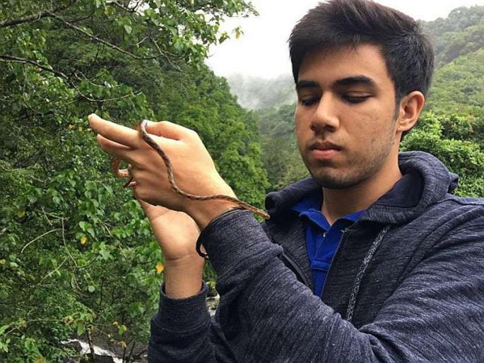 Renewal of tejas thackeray discovered new Geckos, species of Cnemaspis in valley of koyana | ठाकरेपुत्राचं नवसंशोधन, कोयनेच्या खोऱ्यात पालींच्या दोन नव्या प्रजाती शोधल्या Renewal of tejas thackeray discovered new Geckos, species of Cnemaspis in valley of koyana | ठाकरेपुत्राचं नवसंशोधन, कोयनेच्या खोऱ्यात पालींच्या दोन नव्या प्रजाती शोधल्या