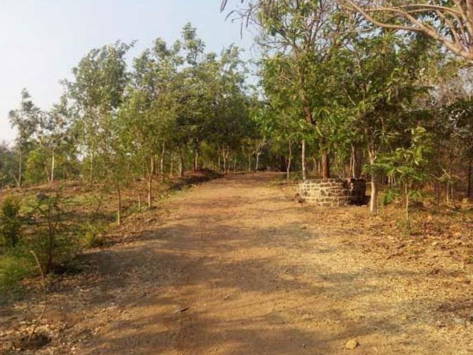 Sexual assault on 15-year-old girl taken to Durga hill After the girl becomes pregnant, the type is revealed | दुर्गा टेकडीवर नेऊन १५ वर्षीय मुलीवर लैंगिक अत्याचार; मुलगी गरोदर राहिल्यानंतर प्रकार उघडकीस Sexual assault on 15-year-old girl taken to Durga hill After the girl becomes pregnant, the type is revealed | दुर्गा टेकडीवर नेऊन १५ वर्षीय मुलीवर लैंगिक अत्याचार; मुलगी गरोदर राहिल्यानंतर प्रकार उघडकीस