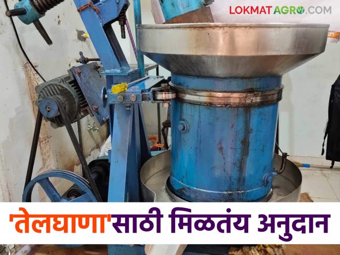 Subsidy for these items have started under the National Edible Oil Mission; Apply today | राष्ट्रीय खाद्यतेल अभियान अंतर्गत या घटकांसाठी अनुदान सुरु; आजच करा अर्ज
