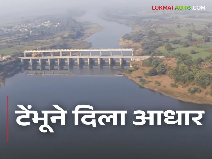 Tembu Project; Tembu Yojana has been running continuously for 169 days | Tembhu Project टेंभू योजना तब्बल १६९ दिवसांपासून अखंडित सुरू Tembu Project; Tembu Yojana has been running continuously for 169 days | Tembhu Project टेंभू योजना तब्बल १६९ दिवसांपासून अखंडित सुरू