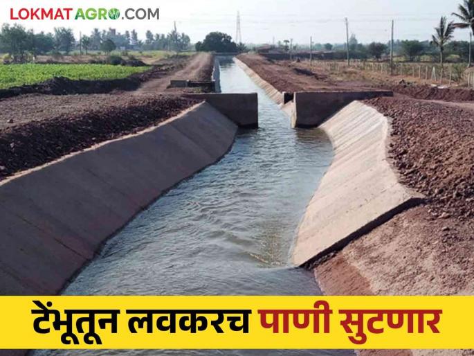 Tembhu Project : Man Khatav and Sangola talukas will get 1 TMC water from Tembhu | Tembhu Project : माण खटाव व सांगोला तालुक्याला टेंभूचे १ टीएमसी पाणी मिळणार