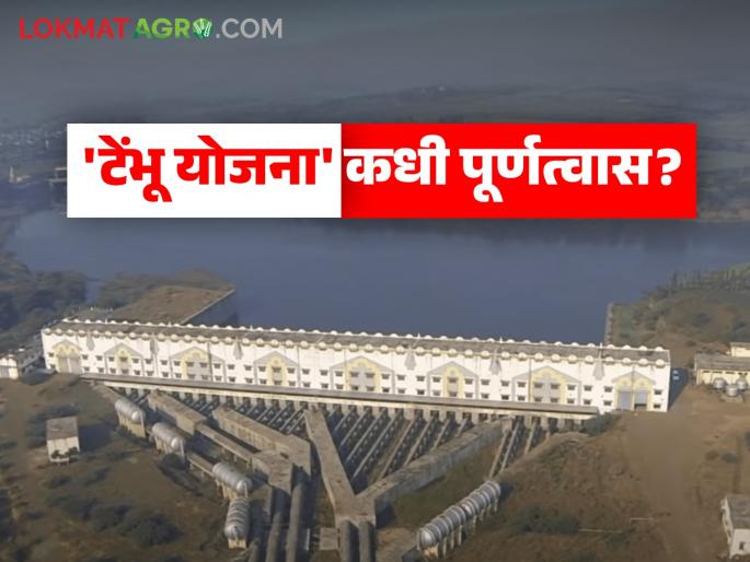 Tembhu Yojana : Tembhu needs Rs 4,000 crore to bring 1.21 lakh hectares of agriculture under irrigation | Tembhu Yojana : १.२१ लाख हेक्टर शेती ओलिताखाली आणण्यासाठी टेंभूला हवेत अजून ४ हजार कोटी Tembhu Yojana : Tembhu needs Rs 4,000 crore to bring 1.21 lakh hectares of agriculture under irrigation | Tembhu Yojana : १.२१ लाख हेक्टर शेती ओलिताखाली आणण्यासाठी टेंभूला हवेत अजून ४ हजार कोटी