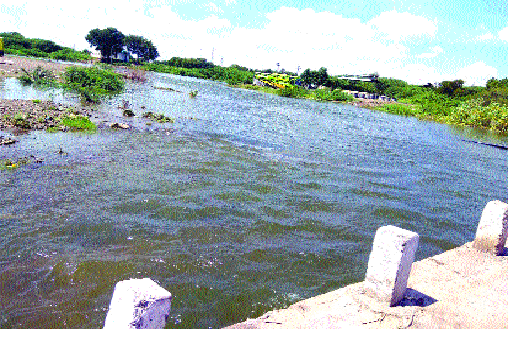 Until the tambu water is available, the villages in the village are dry | टेंभूचे पाणी सांगोल्यापर्यंत, आटपाडीतील गावे कोरडीच -: पाणी कधी मिळणार Until the tambu water is available, the villages in the village are dry | टेंभूचे पाणी सांगोल्यापर्यंत, आटपाडीतील गावे कोरडीच -: पाणी कधी मिळणार