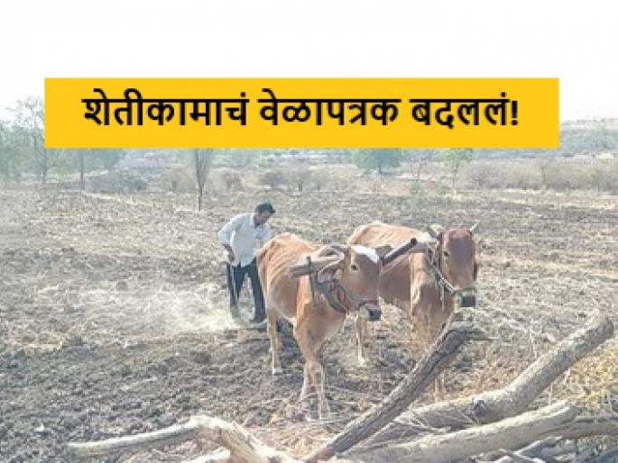 Latest News schedule of agricultural work has changed due to increasing temperature | उन्हाने जीवाची लाही लाही, खरीपपूर्व कामांचं वेळापत्रकही बदललं! अशी घ्या काळजी Latest News schedule of agricultural work has changed due to increasing temperature | उन्हाने जीवाची लाही लाही, खरीपपूर्व कामांचं वेळापत्रकही बदललं! अशी घ्या काळजी
