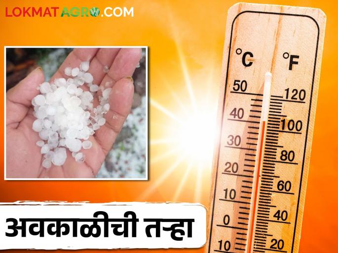 What causes hail on one side and unbearable heat on the other? | एकीकडे गारपीट तर दुसरीकडे सहन न होणारा उकाडा कशामुळे?