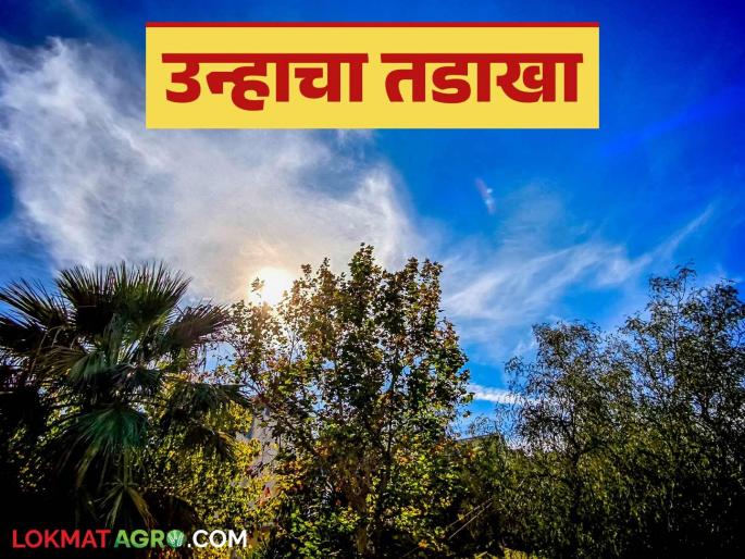 Maharashtra Weather Update : Highest temperature in January as per records till date; What caused the increase in heat? | Maharashtra Weather Update : आजवरच्या नोंदीनुसार जानेवारीतील सर्वाधिक तापमान; कशामुळे वाढला उकाडा? Maharashtra Weather Update : Highest temperature in January as per records till date; What caused the increase in heat? | Maharashtra Weather Update : आजवरच्या नोंदीनुसार जानेवारीतील सर्वाधिक तापमान; कशामुळे वाढला उकाडा?
