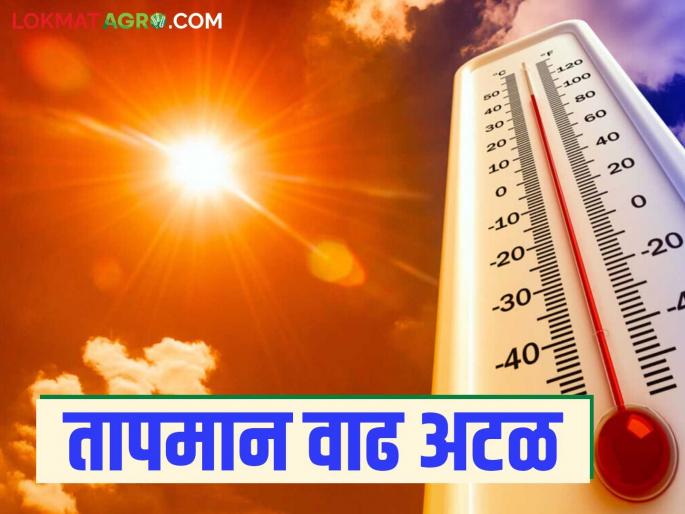 How much will the temperature increase in the state compared to last year? Read in detail | राज्यात मागील वर्षीच्या तुलनेत कुठे होणार किती तापमान वाढ? वाचा सविस्तर How much will the temperature increase in the state compared to last year? Read in detail | राज्यात मागील वर्षीच्या तुलनेत कुठे होणार किती तापमान वाढ? वाचा सविस्तर