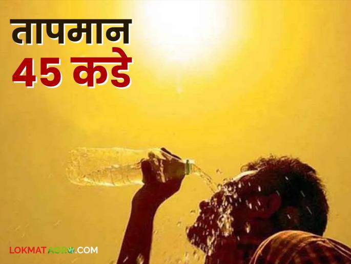 Maharashtra Weather Update : Heat wave likely in the state; Yellow alert for these districts | Maharashtra Weather Update : राज्यात उष्णतेच्या लाटेची शक्यता; या जिल्ह्यांना यलो अलर्ट Maharashtra Weather Update : Heat wave likely in the state; Yellow alert for these districts | Maharashtra Weather Update : राज्यात उष्णतेच्या लाटेची शक्यता; या जिल्ह्यांना यलो अलर्ट