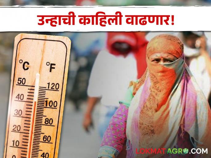 Latest news Mixed weather next week in Maharashtra says climate expert manikrao khule | weather Update : संमिश्र वातावरणाचा आठवडा, वाचा कुठे अवकाळी पाऊस, कुठे ऊन, वाचा सविस्तर  Latest news Mixed weather next week in Maharashtra says climate expert manikrao khule | weather Update : संमिश्र वातावरणाचा आठवडा, वाचा कुठे अवकाळी पाऊस, कुठे ऊन, वाचा सविस्तर