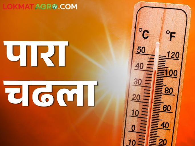 Increase in average temperature in the state by 4 degrees; Where is the temperature? | राज्यातील सरासरी तापमानात ४ अंशांनी वाढ; कुठे आहे किती तापमान?