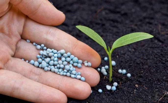 Ten rules of Fertilizer Use for Crops | पिकांसाठी खत वापराची दशसूत्री Ten rules of Fertilizer Use for Crops | पिकांसाठी खत वापराची दशसूत्री