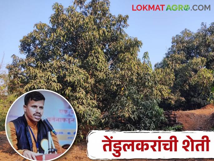 Despite having higher education, Tendulkar continued to devote himself to the service of Soil, especially agriculture | उच्च शिक्षण घेऊनही तेंडुलकरांनी धरली धरणीमातेच्या सेवेची कास करतायेत शेती खास Despite having higher education, Tendulkar continued to devote himself to the service of Soil, especially agriculture | उच्च शिक्षण घेऊनही तेंडुलकरांनी धरली धरणीमातेच्या सेवेची कास करतायेत शेती खास