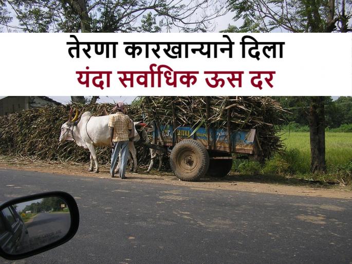 Terna Sugar Factory: 'Terna' sugarcane got the highest price in Dharashiv district, know how much? | Terna Sugar Factory: ‘तेरणा’च्या उसाला धाराशिव जिल्ह्यात मिळाला सर्वाधिक दर, जाणून घ्या किती? Terna Sugar Factory: 'Terna' sugarcane got the highest price in Dharashiv district, know how much? | Terna Sugar Factory: ‘तेरणा’च्या उसाला धाराशिव जिल्ह्यात मिळाला सर्वाधिक दर, जाणून घ्या किती?