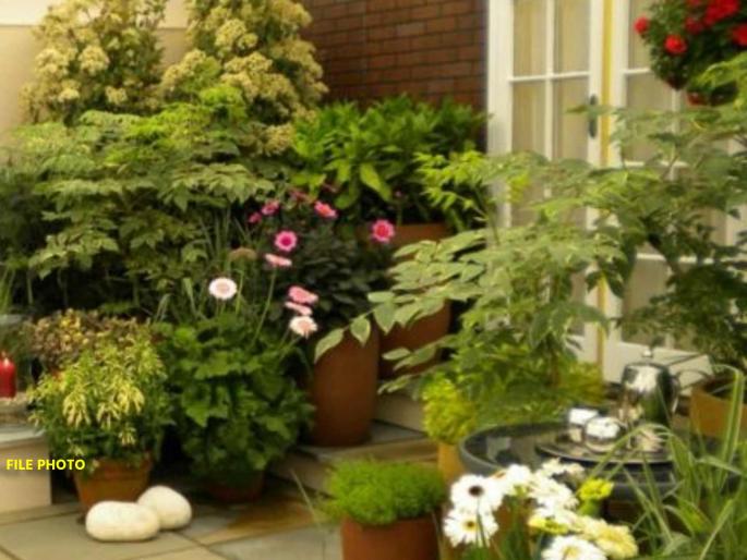 Now how cool does it feel... This 'cooler' will reduce the temperature in your home by up to 15 degrees! | आता कसं गार गार वाटतंय... हा ‘कूलर’ तुमच्या घरातील तापमान १५ डिग्रीपर्यंत कमी करेल! Now how cool does it feel... This 'cooler' will reduce the temperature in your home by up to 15 degrees! | आता कसं गार गार वाटतंय... हा ‘कूलर’ तुमच्या घरातील तापमान १५ डिग्रीपर्यंत कमी करेल!