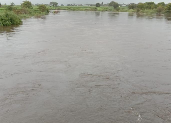 841 cusec discharge from Radhanagari dam, 43 dams under water | राधानगरी धरणातून 841 क्युसेक विसर्ग, 43 बंधारे पाण्याखाली 841 cusec discharge from Radhanagari dam, 43 dams under water | राधानगरी धरणातून 841 क्युसेक विसर्ग, 43 बंधारे पाण्याखाली