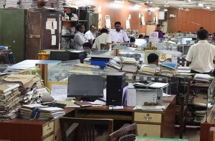 How to get rid of bipedal flies? | द्विपाद घुशींचा नायनाट कसा होणार?