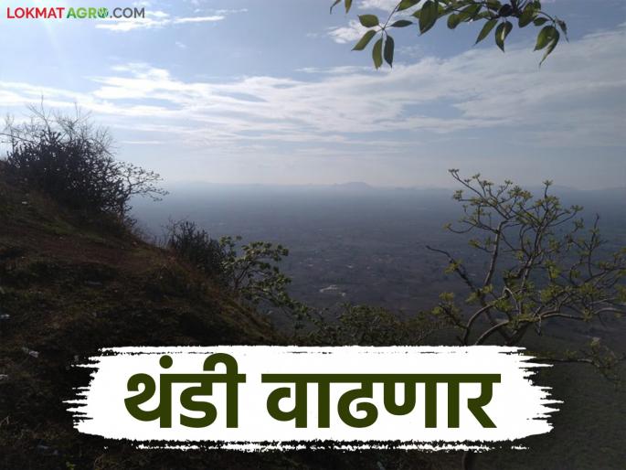 Maharashtra Weather Update: Effects of cyclonic winds; Cold will increase in the state for the next three days | Maharashtra Weather Update : चक्राकार वाऱ्यांचा परिणाम; राज्यात पुढील तीन दिवस गारठा वाढणार Maharashtra Weather Update: Effects of cyclonic winds; Cold will increase in the state for the next three days | Maharashtra Weather Update : चक्राकार वाऱ्यांचा परिणाम; राज्यात पुढील तीन दिवस गारठा वाढणार