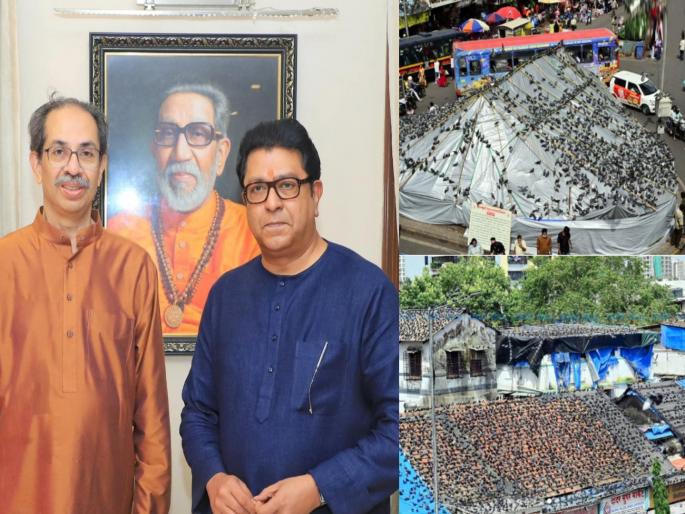 will raj thackeray and uddhav thackeray brothers be seen in the protest against dadar kabutar khana marathi ekikaran samiti appeals to participate | ठाकरे बंधू दादरच्या कबुतरखाना विरोधातील आंदोलनात दिसणार? ‘या’ समितीचे सहभागी होण्याचे आवाहन will raj thackeray and uddhav thackeray brothers be seen in the protest against dadar kabutar khana marathi ekikaran samiti appeals to participate | ठाकरे बंधू दादरच्या कबुतरखाना विरोधातील आंदोलनात दिसणार? ‘या’ समितीचे सहभागी होण्याचे आवाहन