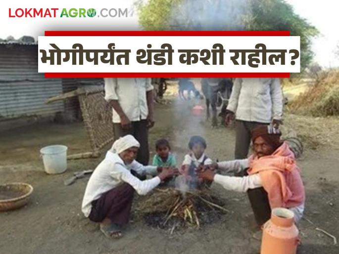 Latest News Cold Weather thandi in Maharashtra until Makar Sankranti bhogi | Cold Weather : एवढा गारठा कशामुळे, महाराष्ट्रात थंडी 'या' तारखेपासून कमी होणार, वाचा सविस्तर Latest News Cold Weather thandi in Maharashtra until Makar Sankranti bhogi | Cold Weather : एवढा गारठा कशामुळे, महाराष्ट्रात थंडी 'या' तारखेपासून कमी होणार, वाचा सविस्तर