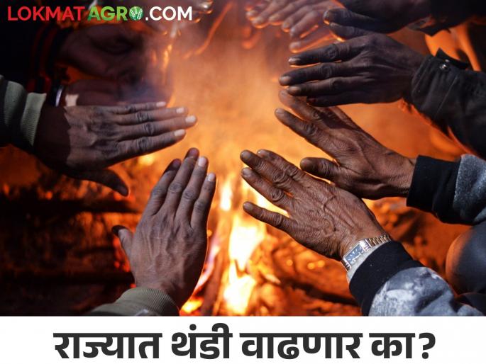 Due to the ongoing snowfall in the north, the state is also likely to experience an increase in cold | उत्तरेकडे सुरू असलेल्या हिमवर्षावामुळे राज्यातही थंडीत वाढ होण्याची शक्यता Due to the ongoing snowfall in the north, the state is also likely to experience an increase in cold | उत्तरेकडे सुरू असलेल्या हिमवर्षावामुळे राज्यातही थंडीत वाढ होण्याची शक्यता