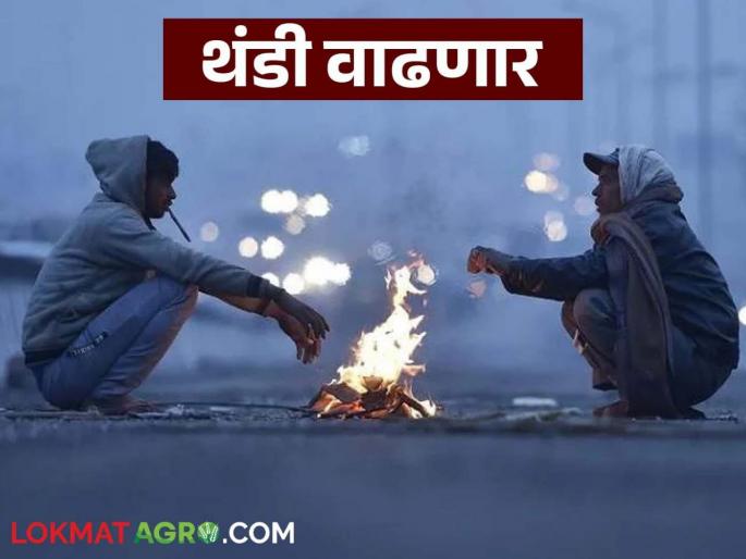 Latest News Weather Cold wave in six districts of Maharashtra for next few days, read in detail | Cold Weather : पुढील काही दिवस महाराष्ट्रातील 'या' सहा जिल्ह्यांत थंडीची लाट, वाचा सविस्तर 