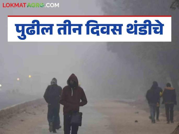 Latest News Maharashtra Weather Update Cold in Maharashtra for next three days Know the details | Maharashtra Weather Update : पुढील तीन दिवस महाराष्ट्रात थंडी, मात्र त्यांनतर....  जाणून घ्या सविस्तर  Latest News Maharashtra Weather Update Cold in Maharashtra for next three days Know the details | Maharashtra Weather Update : पुढील तीन दिवस महाराष्ट्रात थंडी, मात्र त्यांनतर....  जाणून घ्या सविस्तर