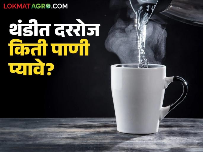How much water does the body need in winter? How much water should you drink daily? Know in detail | थंडीमध्ये शरीराला किती पाण्याची आवश्यकता? दररोज किती पाणी प्यावे? जाणून घ्या सविस्तर