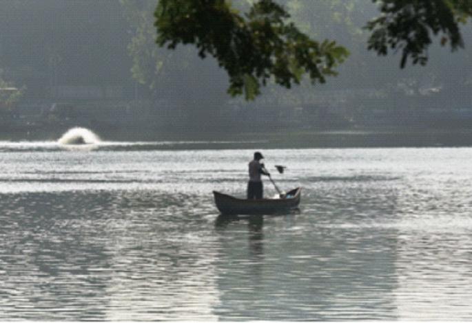 Corona effect: Creek, lake water became clean | कोरोनाचा परिणाम : खाडी, तलावाचे पाणी झाले स्वच्छ Corona effect: Creek, lake water became clean | कोरोनाचा परिणाम : खाडी, तलावाचे पाणी झाले स्वच्छ