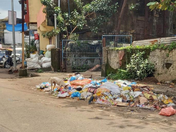 Bhiwandi is piled up with piles of garbage; | भिवंडी ठिकठिकाणी साचले कचऱ्याचे ढीग; मोठ्या प्रमाणात दुर्गंधी Bhiwandi is piled up with piles of garbage; | भिवंडी ठिकठिकाणी साचले कचऱ्याचे ढीग; मोठ्या प्रमाणात दुर्गंधी
