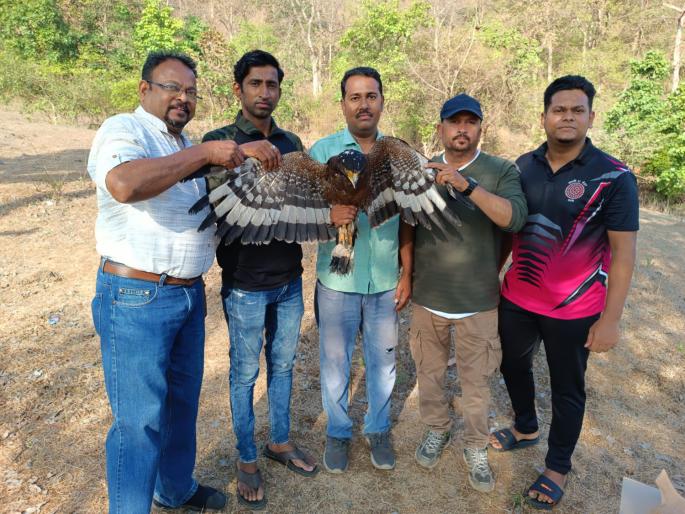 two police constables saved the eagle life | दोन पोलीस हवालदारांनी वाचवले गरुडाचे प्राण two police constables saved the eagle life | दोन पोलीस हवालदारांनी वाचवले गरुडाचे प्राण