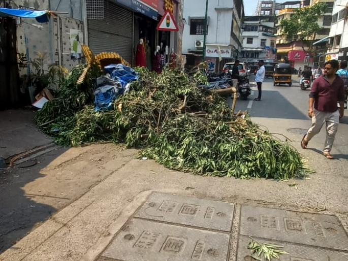 Branches of broken trees fell in Thane due to torrential rains, anger among Thanekars! | वळवाच्या पावसाने तुटलेल्या झाडांच्या फांद्या ठाण्यात तशाच पडून, ठाणेकरांमध्ये संताप ! Branches of broken trees fell in Thane due to torrential rains, anger among Thanekars! | वळवाच्या पावसाने तुटलेल्या झाडांच्या फांद्या ठाण्यात तशाच पडून, ठाणेकरांमध्ये संताप !