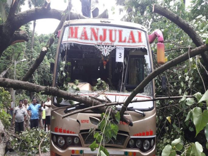 A collapsing tree on a school bus carrying children in Bhayander's Uttam Dongri area | भाईंदरच्या उत्तन डोंगरी भागात मुलांना घेऊन सहलीला जाणाऱ्या शाळेच्या बसवर कोसळलं झाड A collapsing tree on a school bus carrying children in Bhayander's Uttam Dongri area | भाईंदरच्या उत्तन डोंगरी भागात मुलांना घेऊन सहलीला जाणाऱ्या शाळेच्या बसवर कोसळलं झाड