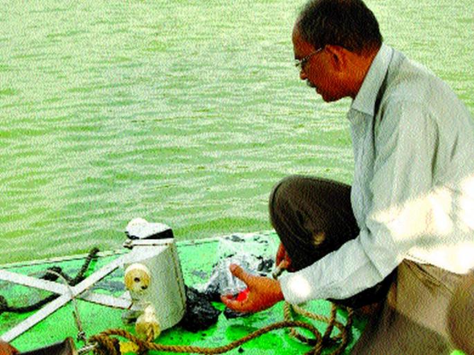 The Thane Pond's Mahata Satasamprayapar | ठाणे तलावांची महती सातासमुद्रापार The Thane Pond's Mahata Satasamprayapar | ठाणे तलावांची महती सातासमुद्रापार
