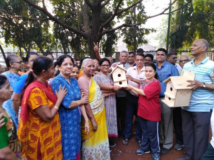 World Sparrow Day 2019 celebration in thane | World Sparrow Day 2019 : ठाण्यात जागतिक चिमणी दिन साजरा World Sparrow Day 2019 celebration in thane | World Sparrow Day 2019 : ठाण्यात जागतिक चिमणी दिन साजरा