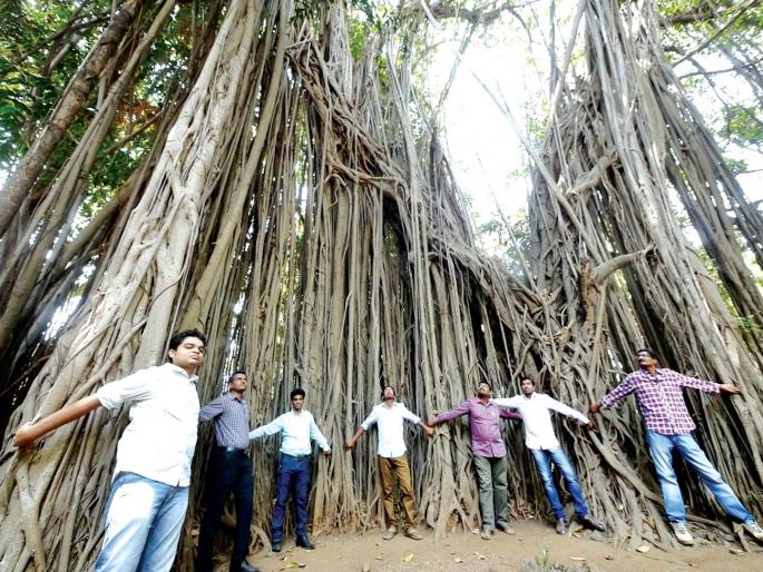 Suspension of 3527 trees in Thane; Dhama of Thamapala High Court | ठाण्यातील ३५२७ वृक्षतोडीला स्थगिती; ठामपाला उच्च न्यायालयाचा दणका Suspension of 3527 trees in Thane; Dhama of Thamapala High Court | ठाण्यातील ३५२७ वृक्षतोडीला स्थगिती; ठामपाला उच्च न्यायालयाचा दणका