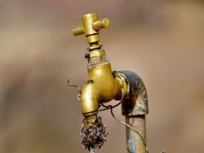 Thane Crime News young man was attacked with stone due to an argument while filling water | पाणी भरताना झालेल्या वादातून तरुणावर दगडाने हल्ला; फरार आरोपीचा शोध सुरु Thane Crime News young man was attacked with stone due to an argument while filling water | पाणी भरताना झालेल्या वादातून तरुणावर दगडाने हल्ला; फरार आरोपीचा शोध सुरु