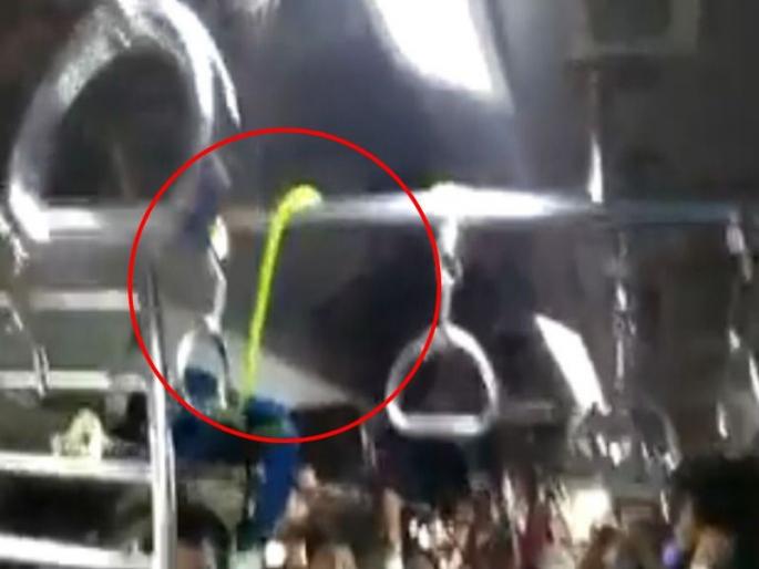 mumbai local disrupted after snake found in titwala csmt local | Video: सापाने केला लोकल प्रवास, प्रवाशांची उडाली पळापळ mumbai local disrupted after snake found in titwala csmt local | Video: सापाने केला लोकल प्रवास, प्रवाशांची उडाली पळापळ