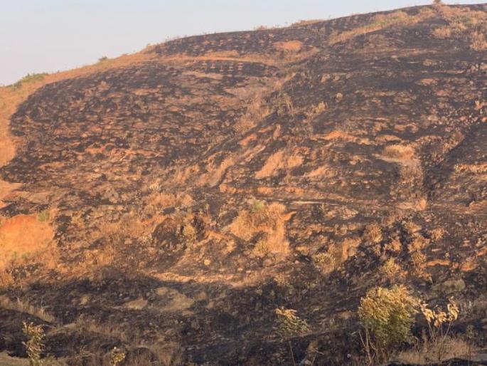 Recognition of forest resources on Mangrul hill | मांगरुळ डोंगरावरील वनसंपदा वणव्याच्या विळख्यात