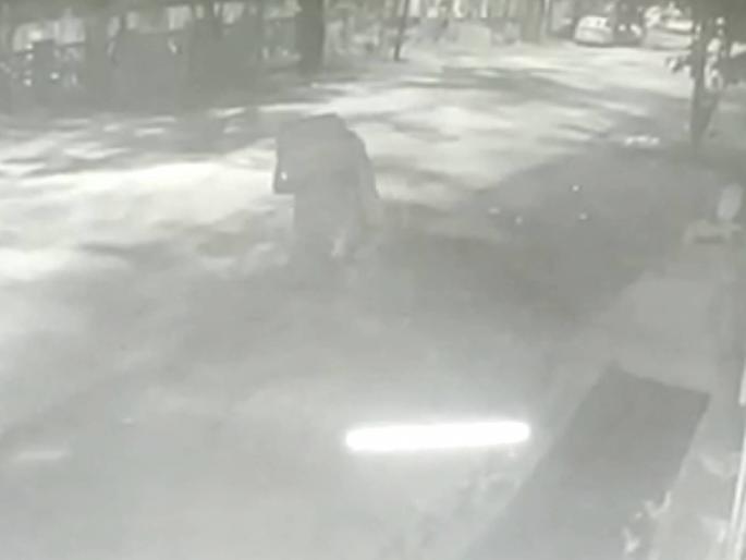 Thieving women's gang rampage in MIDC residential area, residents panic | एमआयडीसी निवासी भागात चोरट्या महिला गँगचा धुमाकूळ, रहिवासी घाबरले Thieving women's gang rampage in MIDC residential area, residents panic | एमआयडीसी निवासी भागात चोरट्या महिला गँगचा धुमाकूळ, रहिवासी घाबरले