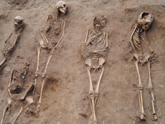 The world's 14 viral disease that kill millions of people rsg | लाखो लोकांचे जीव घेणारे जगातील 14 साथीचे आजार