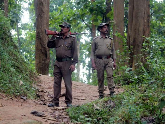 The question in the Legislative Assembly on the appointment of Forest Territory, Assistant Forest Guard | वनक्षेत्रपाल, सहायक वनसंरक्षकांच्या नियुक्तीवर विधानसभेत प्रश्न