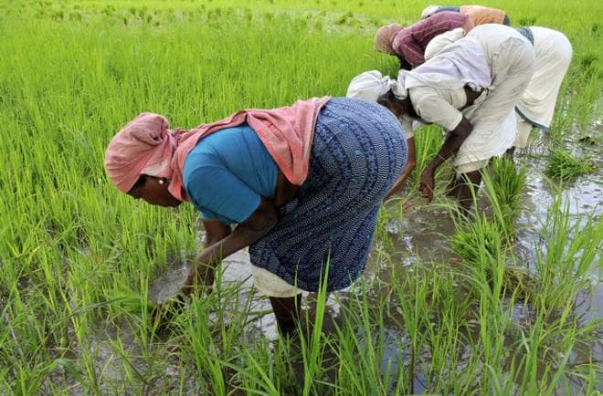 Bhartiy Sangram Parishad Movement for the pension to farmers | शेतकरी, शेतमजुरांना पेन्शनसाठी भारतीय संग्राम परिषदेचा लढा