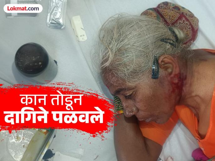 Beed: Elderly woman's ear cut off and jewellery stolen; Thieves raid Ladevadgaon Shivara | Beed: वृद्ध महिलेचे कान तोडून दागिने पळविले; लाडेवडगाव शिवारात चोरट्यांचा धुमाकूळ Beed: Elderly woman's ear cut off and jewellery stolen; Thieves raid Ladevadgaon Shivara | Beed: वृद्ध महिलेचे कान तोडून दागिने पळविले; लाडेवडगाव शिवारात चोरट्यांचा धुमाकूळ