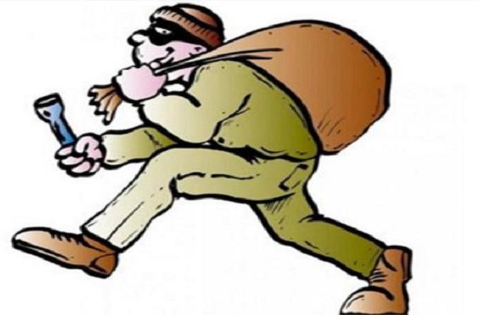 46,000 cash laps by grabbing a woman's purse | महिलेची पर्स हिसकावून ४६ हजारांची रोकड लंपास