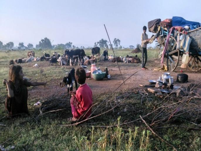 There is no house, where building the skyline, sadness of the shepherd family | घरच नाही, आकाशकंदील बांधायाचा कुठे ?, मेंढपाळ कुटुंबाची व्यथा There is no house, where building the skyline, sadness of the shepherd family | घरच नाही, आकाशकंदील बांधायाचा कुठे ?, मेंढपाळ कुटुंबाची व्यथा