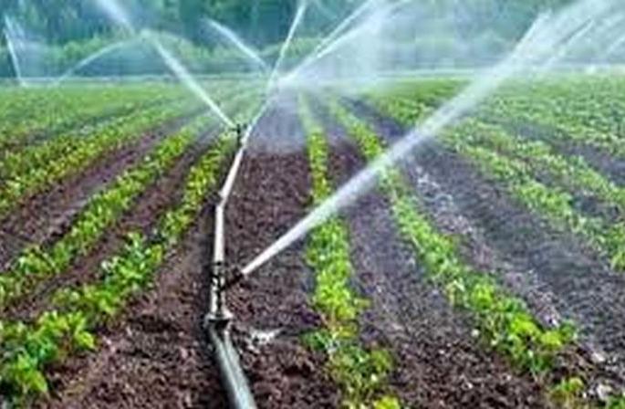 Drip, Sprinkler's grant of Rs 3 crore stalled | ठिबक, स्प्रिंकलरचे ३ कोटीचे अनुदान रखडले Drip, Sprinkler's grant of Rs 3 crore stalled | ठिबक, स्प्रिंकलरचे ३ कोटीचे अनुदान रखडले