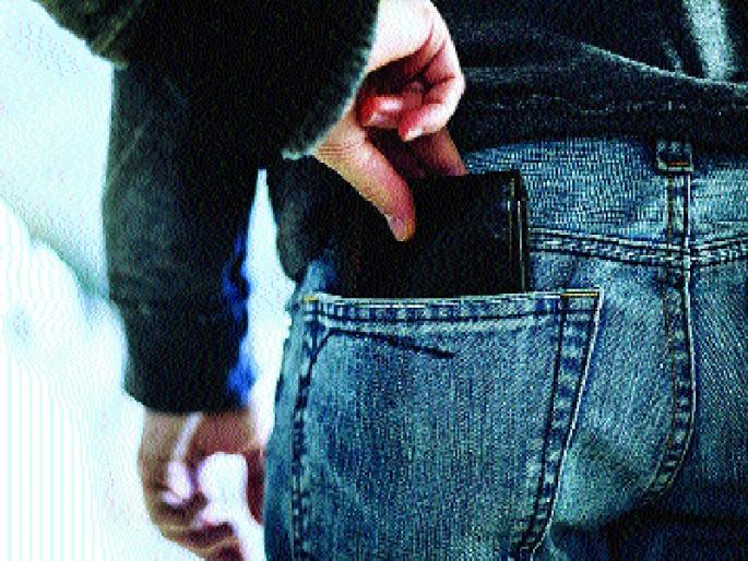  93 percent of women in the Delhi Metro Rail Corridor | दिल्ली मेट्रोतील पाकीटमारांमध्ये ९३ टक्के महिला, सीआयएसएफच्या कारवाईतील वास्तव