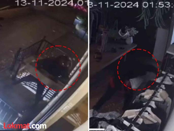Three thieves theft worth 5 crores in 4 minutes watch cctv footage | 3 चोर ४ मिनिटात ५ कोटींचा माल घेऊन लंपास, सीसीटीव्ही फुटेज पाहून व्हाल हैराण! Three thieves theft worth 5 crores in 4 minutes watch cctv footage | 3 चोर ४ मिनिटात ५ कोटींचा माल घेऊन लंपास, सीसीटीव्ही फुटेज पाहून व्हाल हैराण!