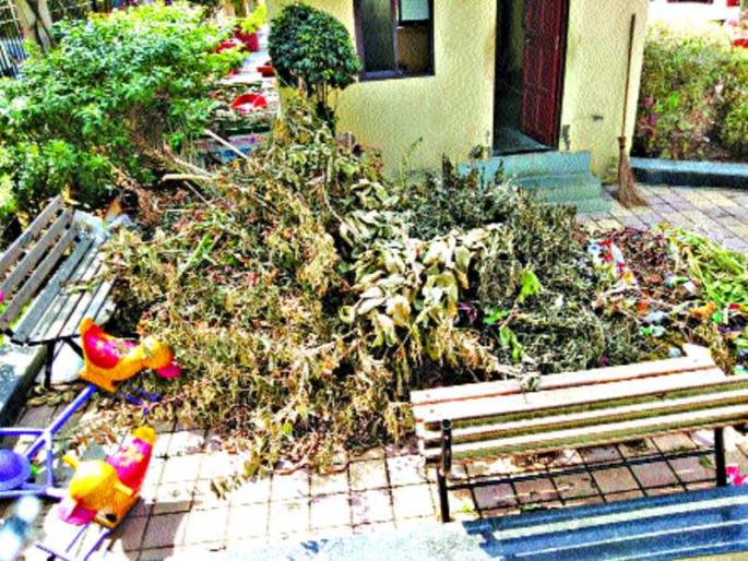 Arvind Pendse also came to the park | अरविंद पेंडसे उद्यानालाही आली अवकळा